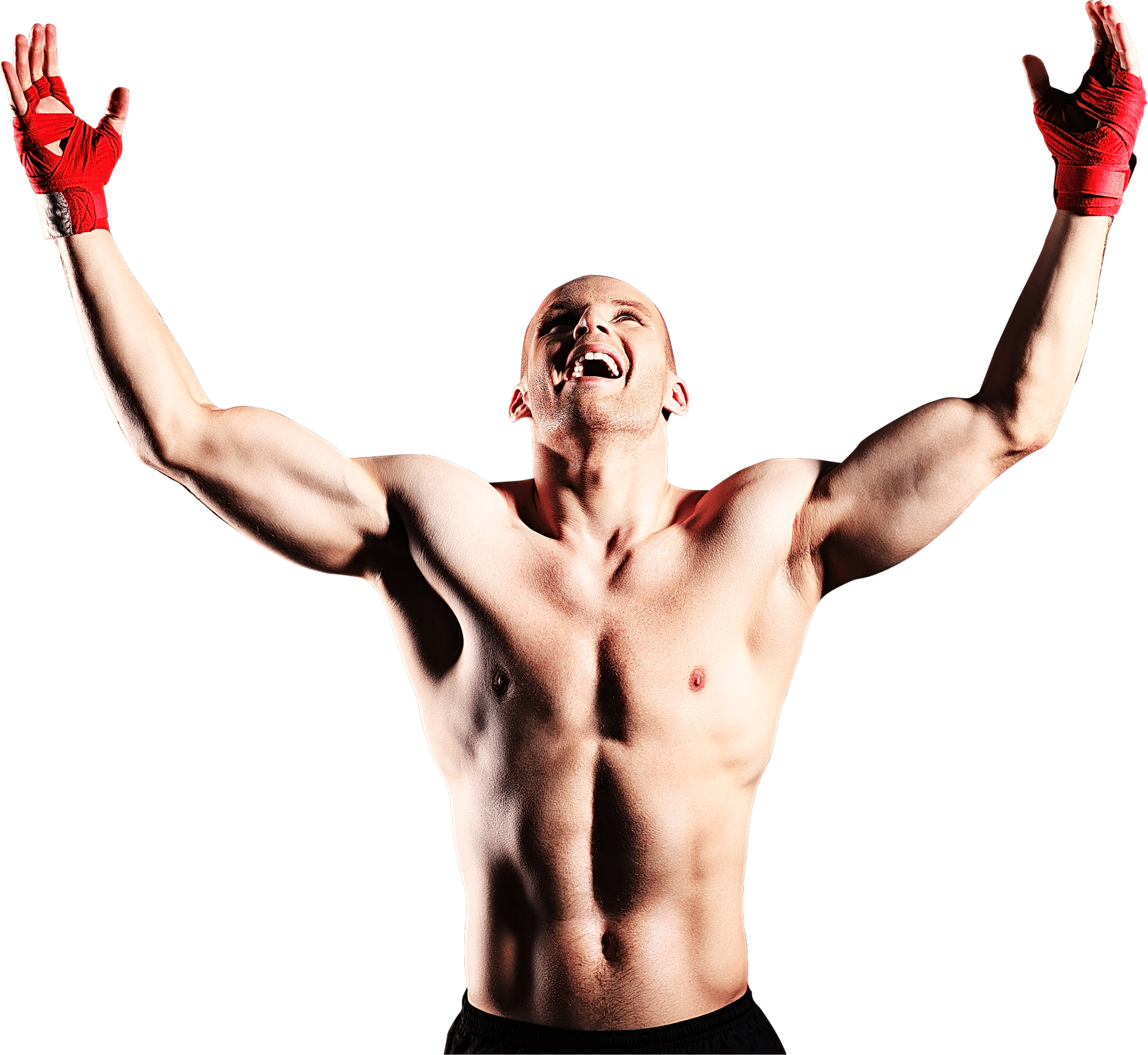 MMA Cage Fighter